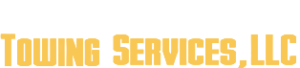 Logo white